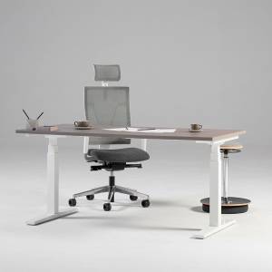 Elektrisch höhenverstellbarer Schreibtisch, ca. 120 x 60 cm online  bestellen bei Tchibo 633586